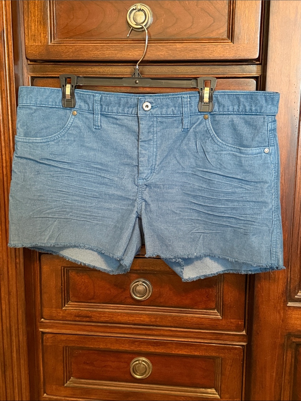 Carve Designs Light Teal Blue Corduroy Denim Frayed Shorts NWOT